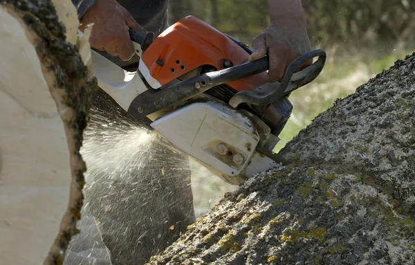 Man skär ett fallna träd. — Stockfoto