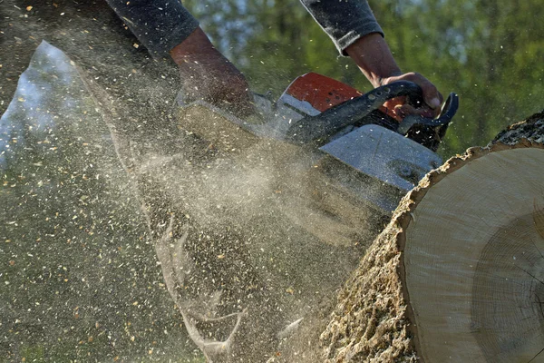 Man cuts a fallen tree. — Stock Photo, Image