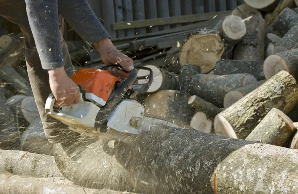 Man cuts a fallen tree. — Stock Photo, Image