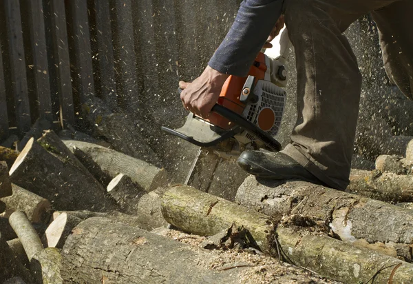 Man snijdt een omgevallen boom. — Stockfoto