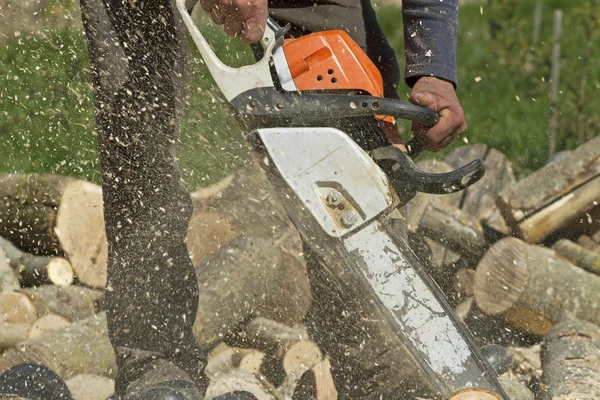 Homem corta uma árvore caída . — Fotografia de Stock