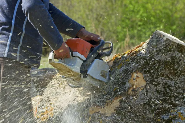 L'uomo taglia un albero caduto . — Foto Stock