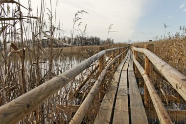 yol gölün yüzeyi.