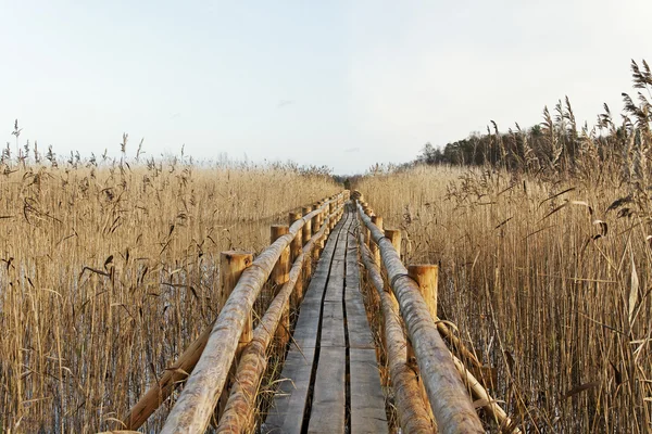 Pfad an der Oberfläche des Sees. — Stockfoto