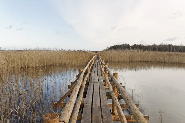 Caminho na superfície do lago . — Fotografia de Stock