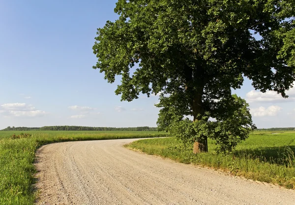 Vira de estrada rural . — Fotografia de Stock
