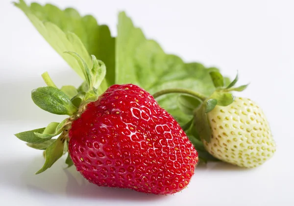 Green and ripe strawberries. — Stock Photo, Image