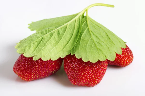 Ripe strawbberies. — Stock Photo, Image