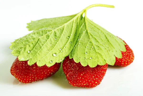 Olgun strawbberies. — Stok fotoğraf