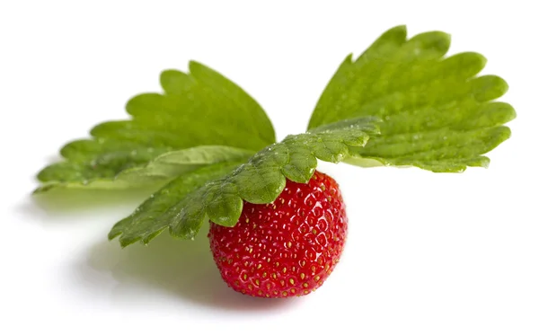 Ripe strawberry. — Stock Photo, Image