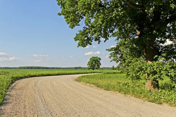 Turn of country road. — Stock Photo, Image