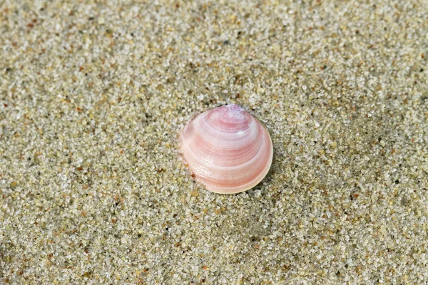 Varma sanden. — Stockfoto