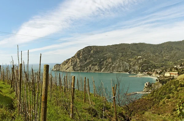 La vigna al mare . — Foto Stock