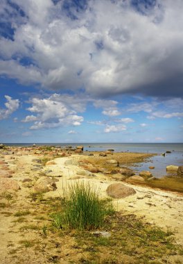 taş kıyı şeridi.