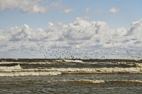 Zee landschap. — Stockfoto