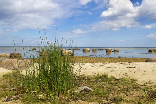 Costa di pietra . — Foto Stock