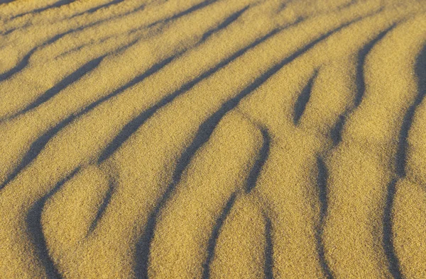 Sand vid havet. — Stockfoto