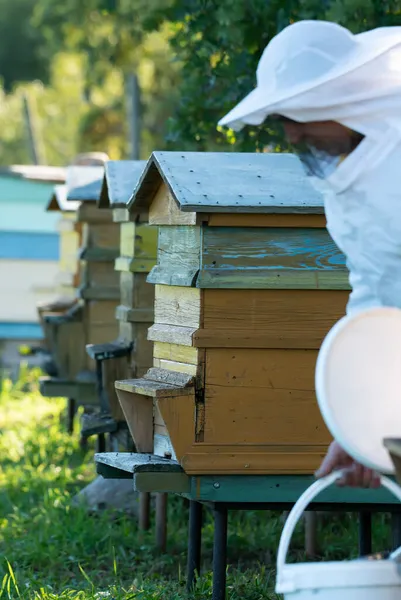 Pszczelarz Pracuje Farmie Pszczół — Zdjęcie stockowe