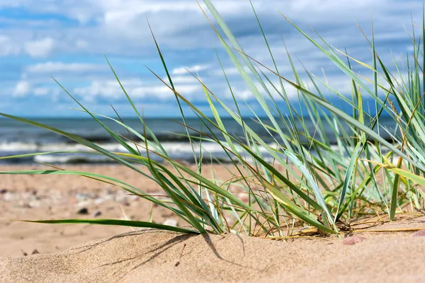 Piaszczystej Plaży Morza Bałtyckiego — Zdjęcie stockowe