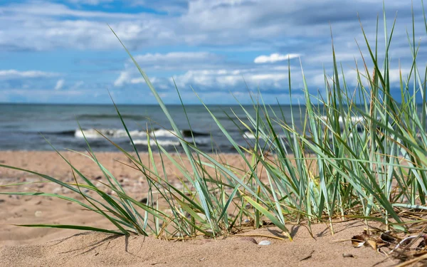 Piaszczystej Plaży Morza Bałtyckiego — Zdjęcie stockowe