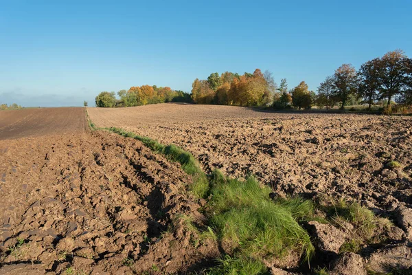 Blick Auf Gepflügtes Feld Herbst — Stockfoto