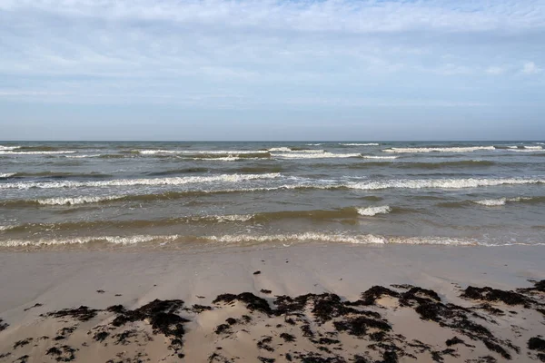 Vista Costa Natural Del Frío Mar Báltico —  Fotos de Stock