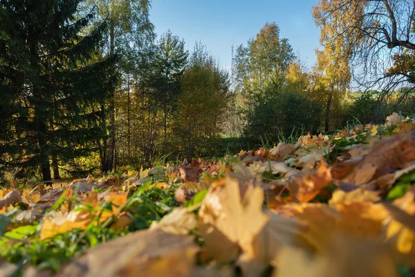 Pohled Podzimní Krajinu Kopce — Stock fotografie