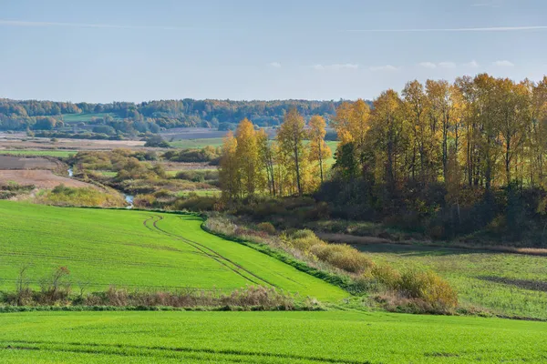 Pohled Slunné Zemědělské Pole Podzim — Stock fotografie