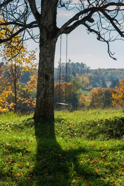 Svinga Ett Träd Landet — Stockfoto