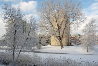 Kışın küçük bir gölün yakınındaki çok katlı binaların alanı.