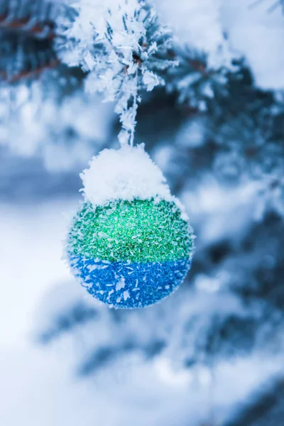 Aralık Büyüyen Bir Ladin Üzerinde Noel Baloları — Stok fotoğraf