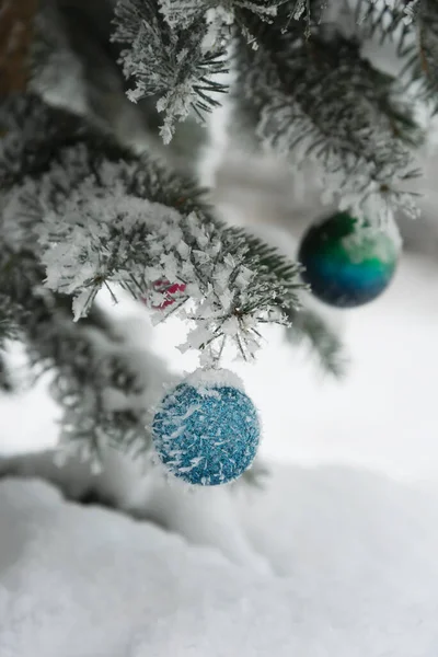 Christmas Balls Growing Spruce December Stock Image