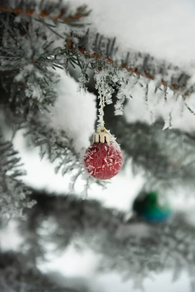 Christmas Balls Growing Spruce December — Stock Photo, Image