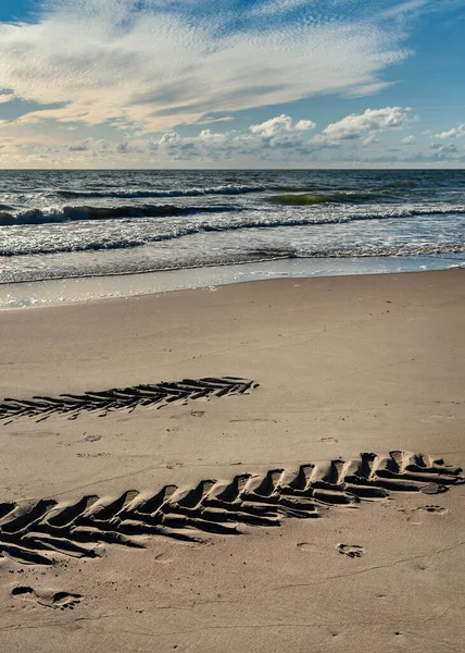 Pobřeží Baltského Moře Hlubokými Razítky Traktoru Písku — Stock fotografie