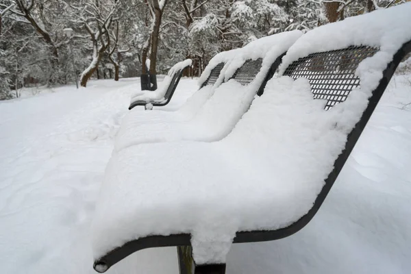 Naturalny Widok Aleję Śnieżycy Metalowymi Ławkami Pod Śniegiem — Zdjęcie stockowe