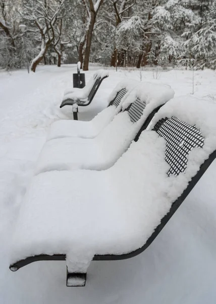 Naturalny Widok Aleję Śnieżycy Metalowymi Ławkami Pod Śniegiem — Zdjęcie stockowe
