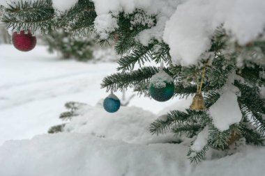 Aralık 'ta büyüyen bir ladin üzerinde Noel baloları.