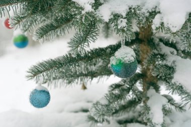 Aralık 'ta büyüyen bir ladin üzerinde Noel baloları.