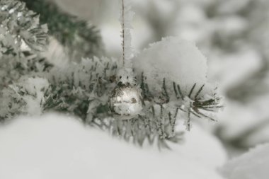 Büyüyen bir ladin üzerinde Noel baloları.