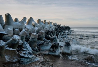 Kışın Liepaja 'daki kuzey köstebeğinin görüntüsü.