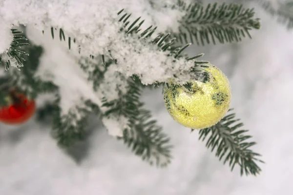 Aralık Büyüyen Bir Ladin Üzerinde Noel Baloları — Stok fotoğraf