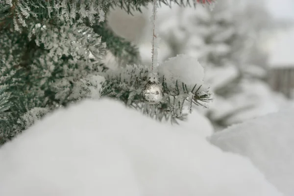 成长中的云杉上的圣诞球 — 图库照片