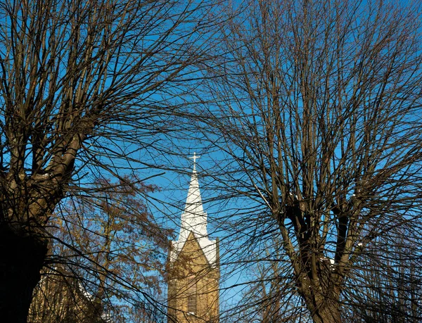 Utsikt Mot Kyrkan Genom Träd — Stockfoto