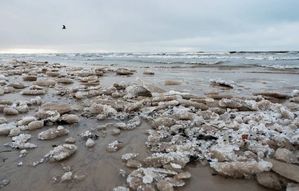 Paesaggio Del Mare Baltico Inverno — Foto Stock