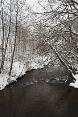 Kışın küçük nehir manzarası.
