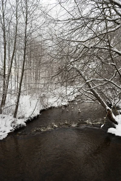 Blick Auf Den Kleinen Fluss Winter — Stockfoto