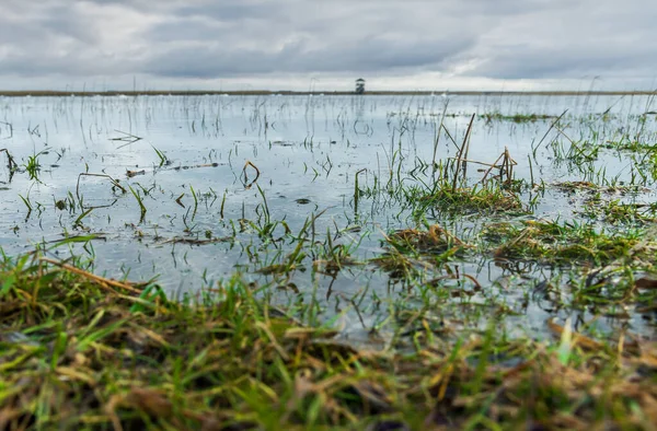 鳥の塔がある湖の横に草の氾濫した牧草地の眺め — ストック写真