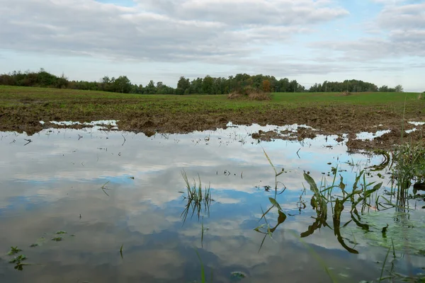 View Large Puddle Field — Stock fotografie