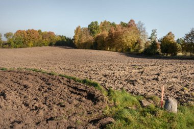 Kırsal alanın görüntüsü.