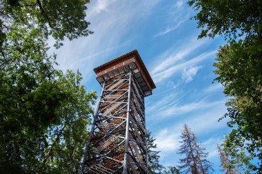 Ormandaki metal turist kulesi.